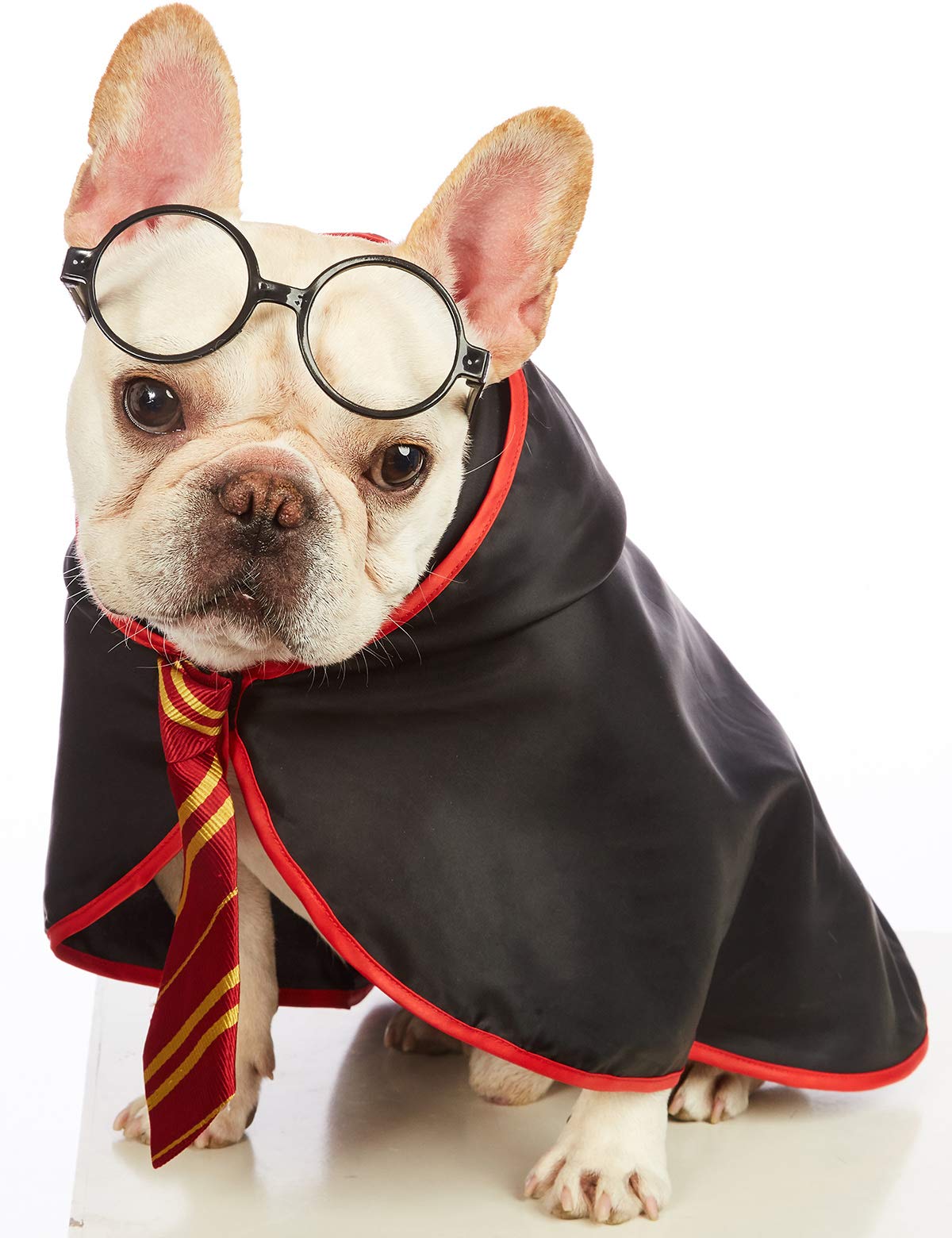 Impoosy Pet Halloween Dog Hoodies Funny Cat Wizard Costume Cute Apparel Soft Shirts Clothes with Glasses (MediumNeck:14")